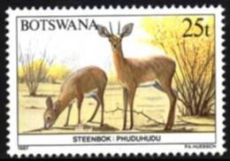 Botswana - 1987 Animals 25t Steenbok (**) # SG 630 , Mi 414 - Botswana (1966-...)