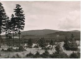 PK-CP Deutschland, Blick Zum Brocken Im Hochharz, Ungebraucht, Siehe Bilder! - Wernigerode