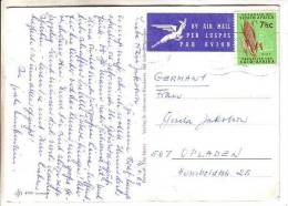 GOOD SOUTH AFRICA Postcard To GERMANY 1969 - Good Stamped: Maize - Covers & Documents