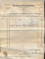 Factuur Brief Lettre Grains De Groote - Vandenhende Zottegem 1904 - 1900 – 1949