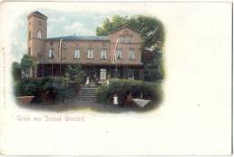 Gruss Aus Seebad Wendorf Bei Wismar Kurhaus Belebt Color Ungelaufen Um 1905 - Wismar