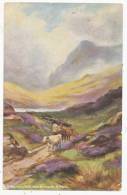 A Mountain Path, Near Barmouth, N. Wales, 1907 Postcard - Merionethshire
