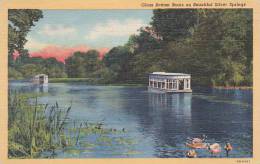 Florida Silver Spring Glass Bottom Boats On Beautiful Silver Springs - Silver Springs