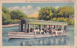 Florida Silver Springs Feeding Fish From Glass Bottom Boat At Silver Springs 1939 - Silver Springs
