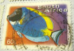 South Africa 2000 Fish Powder Blue Surgeon 60c - Used - Oblitérés