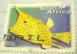 South Africa 2000 Fish Longhorn Cowfish 80c - Used - Gebruikt