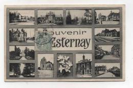 CPA  51 : ESTERNAY   Souvenir Multi Vues   A  VOIR  !!!!!!! - Esternay