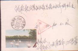 CHINA CHINE  1958.8.5 THE TRIANGLE FREE MILITARY MAIL HANDWRITTEN DATE RARE - Ungebraucht