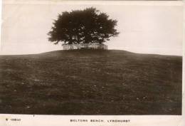 (150) Very Old Postcard - Carte Ancienne - Boltone Bench, Lyndhurst - Other & Unclassified