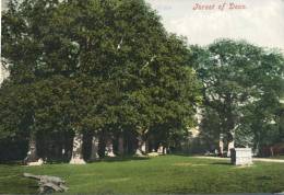 (432) Very Old Postcard - Carte Ancienne - UK - Forest Of Dean - Altri & Non Classificati
