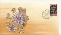 BRITISH VIRGIN ISLANDS 1979 - FD CARD - COUSTEAU SOCIETY SERIE - NEW DEFINITIVES - PENCIL URCHIN  W 1 ST OF 5 C POSTM DE - Iles Vièrges Britanniques