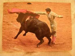 Corrida  Bull Fighting - Spain Espana    D104364 - Tauri