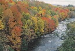 Cp , CANADA ,Les Splendeurd De L'été Indien - Moderne Ansichtskarten