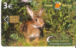 TARJETA DEL CONEJO COMUN DE LA FAUNA IBERICA Y TIRADA 4000 (RABBIT) - Rabbits