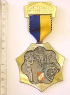Insigne Médaille WANDERTAG 80 FF RABENSBURG (Austria) - Firemen