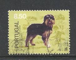 ! ! Portugal - 1981 Portuguese Dogs - Af. 1511 - Used - Oblitérés