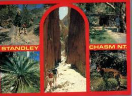 (295) Australia - NT- Standley Chasm - Non Classificati