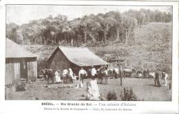 CPSM  RIO GRANDE DO SUL (Brésil) - Une Colonie D´italiens - Other