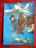 Switzerland - 3D - Stereo - New Year - Christmas - Birds - Cones - Sent In Finland - Used - Sent