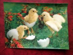 Switzerland - 3D - Stereo - Easter - Chiken - Eggs - Sent In Finland - Used - Sent