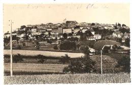 MONFLANQUIN - PANORAMA - CPSM PETIT FORMAT - Monflanquin