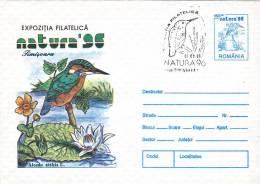 SEAGULL, ALCEDO ATTHIS, COVER STATIONERY, OBLIT CONC, 1996, ROMANIA - Marine Web-footed Birds