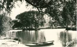 St-Maur - Bonneuil-sur-Marne  Un Coin Sauvage Quai De Bonneuil  Cpsm Format  Cpa - Bonneuil Sur Marne