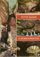 MUELLERTHAL-PETITE SUISSE LUXEMBOURGEOISE-Multivues - Muellerthal