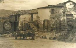 PORTUGAL - PEDRAS SALGADAS-BORNES - ASPECTO DA ALDEIA - 50S REAL PHOTO PC. - Vila Real