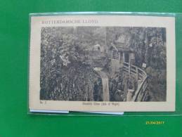 1912 Shanklin Chine Isle Of Wight ROTTERDAMERSCHE LLOYD - Otros & Sin Clasificación