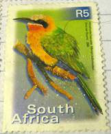 South Africa 2000 Whitefronted Bee-eater Bird 5r - Used - Usados