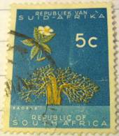 South Africa 1961 Baobab Tree 5c - Used - Oblitérés