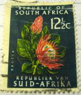 South Africa 1973 Flower Protea 12.5c - Used - Usati