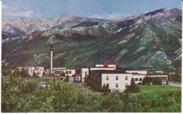 Mt. McKinley AK Alaska, McKinley Hotel McKinley Park C1950s Vintage Postcard - Other & Unclassified