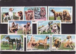 N° 3869 à 3876neuf **. Faune . Chiens - Unused Stamps