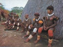 (999) Brazil - Native Brazilian Indians Tribe - Altri