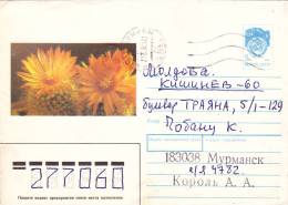 CACTUS, COVER STATIONERY, ENTIERE POSTAUX,  1982, RUSIA - Cactusses