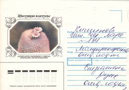 CACTUS, SPECIAL COVER, 1983, RUSIA - Cactusses