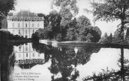 CPA-(38)- TULLINS  -   Le CHÂTEAU Des Chartreux - Le Parc Et L'Etang - Tullins