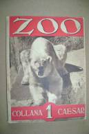 PBR/33 ZOO Collana Caesar 1941/ORSO/CAMMELLO/GORILL A/TARTARUGA - Altri & Non Classificati