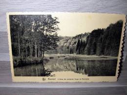 Buzenol - L'Etang Des Anciennes Forges De Montauban - Etalle