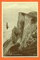 Angleterre - Eastbourne  "  Beachy Head  "  Carte Glacée - Eastbourne