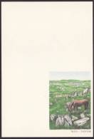 Newyear Picture Postcard 1990, Horse (jny133) - Postkaarten