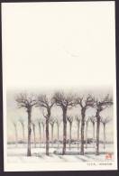 Newyear Picture Postcard 1991, Trees (jny180) - Ansichtskarten