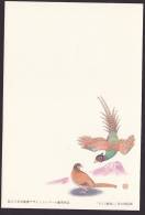 Newyear Picture Postcard 1993, Pheasant (jny249) - Cartes Postales