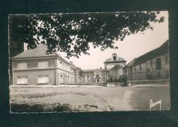 CPSM - Bonneuil (sur Marne ) - Entrée Du Château  ( Raymon Coll. Bouchet) - Bonneuil Sur Marne