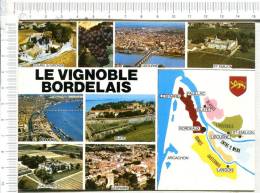 LE VIGNOBLE BORDELAIS -  Multi Vues  Et Cartographie De La Région - Pauillac