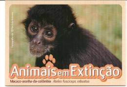 CPM SINGE MACAQUE Animaux En Voie De Disparition Portugal Jardin Zoologique - Singes