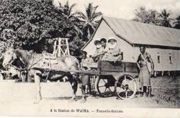 A La Station De WAIMA - Papoea-Nieuw-Guinea