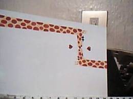 GIRAFFA GIRAFFE SI BACIANO S1987 EF14791 - Giraffes